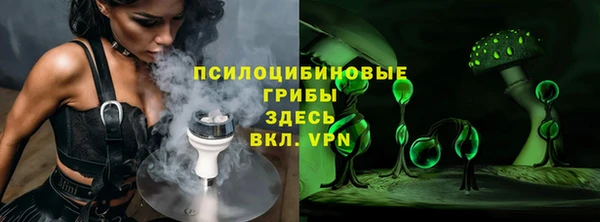 ешки Арсеньев