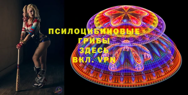 ешки Арсеньев