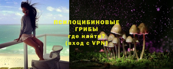 стаф Аркадак