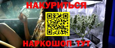 сатива Бузулук