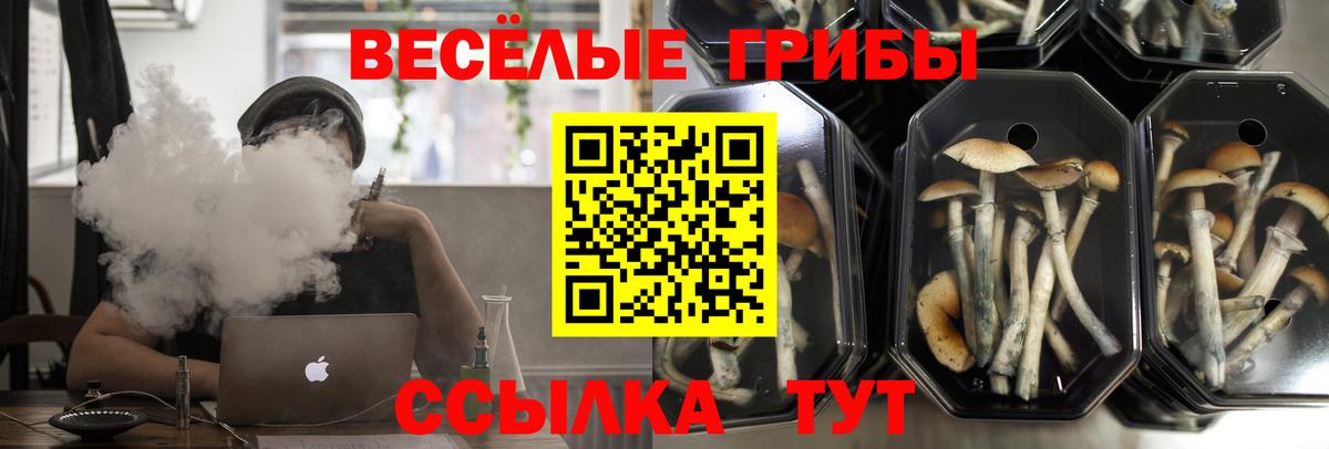 Галлюциногенные грибы мухоморы Кировск