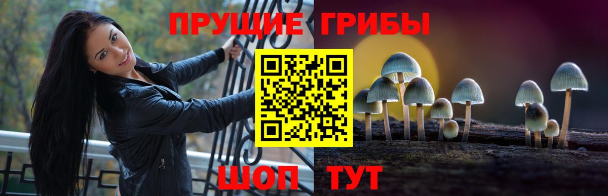 Кировск  Галлюциногенные грибы MAGIC MUSHROOMS  Вход с VPN 